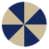 Swatch image